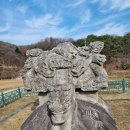 더탑비전 네이버블로그