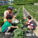 삼용농장 이미지