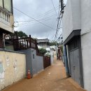 아리랑플랜트