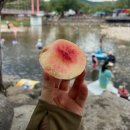 Y모텔 | [거창 가볼만한 곳/거창반값여행 1박2일] 청년 유형 환급 후기(수승대 계곡, 항노화힐링랜드 추천)