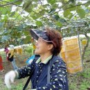 진환농장 이미지