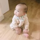 버드나무아래서 | 시간아 빠르고 천천히 지나가다오