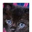 안단테 동물의료센터 이미지