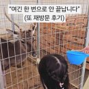 정기농장 | 용인 헤븐온어스 재방문 후기! 용인 딸기체험 동물먹이주기 아이랑 가볼만한곳