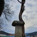 덕천1리 이미지