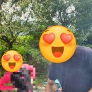 고북벨리 이미지