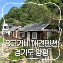 8코기네 애견펜션 | 경기도 양평] 여덟마리의 웰시코기가 반겨주는 계곡이 있는 8코기네 애견펜션, 아이랑도 재밌게 놀다왔어요
