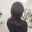 살롱드 다움 네이버블로그