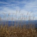 거창-고제-14 이미지