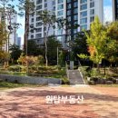 능수버들공원로 이미지