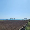 APRO민박 | 섭지코지 관광장소가 가까워 좋았던 <아프로펜션>