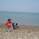 서해바다 이미지