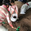 임동길농장 이미지