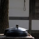 고향생각 이미지