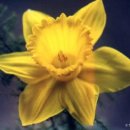 하루하루 이미지