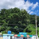 한산도 충무공교실 야영장 이미지