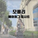 허그안 | 힙시트 사이드백 아기띠 추천 육아가방 모롤리 베어허그 사용 후기
