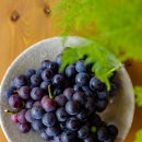 홍제원농장 이미지