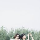 달빛세탁소 이미지