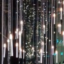 장수오리 이미지