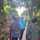 고지대 그린 테마공원 이미지