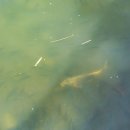 유림-27 | 예쁜 봄꽃 따라 걷기 좋은 대전 유림공원 산책 후기