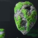 뜨는 돌 이미지