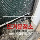 씨유범일마제스타워점 | 동구 범일동 비둘기 똥 청소 범일진흥마제스타워 후기!