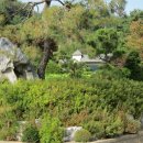 대지부속 이미지