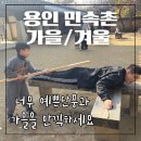 그림동산 어린이집 | 용인 민속촌 아이와 위치 가격 할인방법 주차 단풍 크리스마스 내돈내산