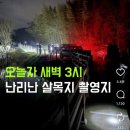 인영농원 | 하이라이트