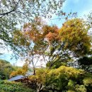 황금 코다리 정읍점 이미지