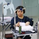 멍멍 애견미용 이미지