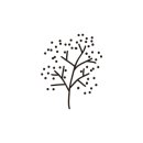 가야진족 이미지