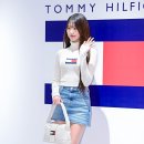 현대타미힐피거