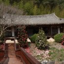 현내리 도원정사 이미지