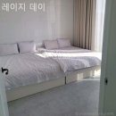 레이지 데이 이미지