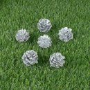 소나무어린이집 이미지