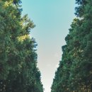 정석목장 이미지