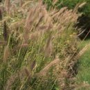 한강둔치길 이미지