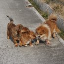 신흥마을회관 내 이미지