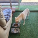 안면도수평선 | 안면도ATV 체험 후기 - 6살, 4살과 함께한 와이키키 레포츠 최고의 액티비티!