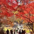 테마가 있는 안양소리여행 | 안양시 서울대학교 관악수목원,식물원 나들이 여행,데이트코스