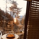 별들의 기침 이미지