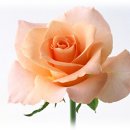 (주)보원 이미지