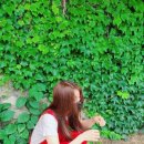 대청소닷컴