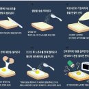 오토스트