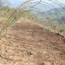 여주민박 이미지