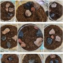 마음을 심는 원예테라피 이미지