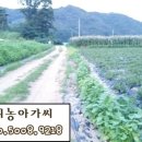 준옹농장 네이버블로그